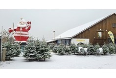 Bildergallerie Naturstein- und Weihnachtsbaumhandel Michael Esko Schmitz Lohmar