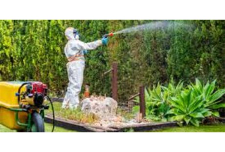Eigentümer Bilder Kammerjäger Drees Bonn
