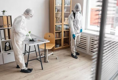 Eigentümer Bilder Kammerjäger Krüger Bonn