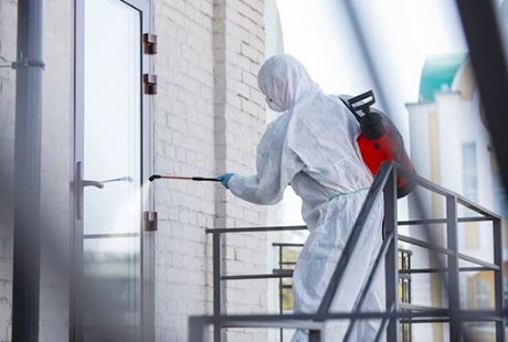 Eigentümer Bilder Kammerjäger Krüger Bonn