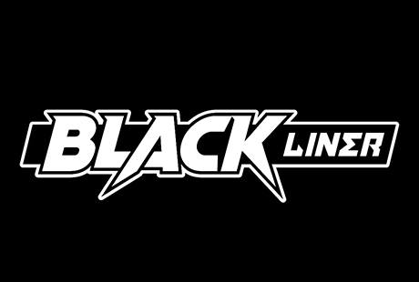 Bildergallerie Black-Liner GmbH Transporte Nersingen