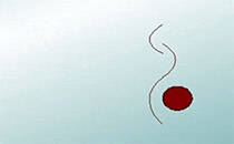 Logo Domhöver Ann Kristin Ärztin für Frauenheilkunde u. Geburtshilfe Nersingen