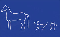 Logo Adamo Drs. GbR Pferde- und Kleintierpraxis Elchingen