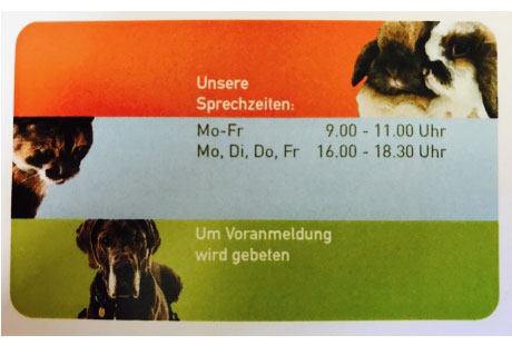 Bildergallerie Greiner Michaela Dr. med. vet. Kleintierpraxis und Hausbesuche Neu-Ulm