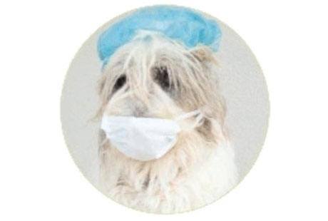 Bildergallerie Greiner Michaela Dr. med. vet. Kleintierpraxis und Hausbesuche Neu-Ulm