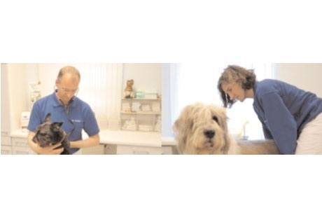 Bildergallerie Greiner Michaela Dr. med. vet. Kleintierpraxis und Hausbesuche Neu-Ulm