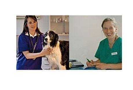 Bildergallerie Backofen Ilona Dr. u. Gimmler Stefanie Tierarztpraxis Dietenheim