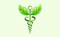 Logo Winter Ulrike, Holle Elke u. Bobsin Juliane Hausärzte Akupunktur, Chirotherapie, Naturheilverfahren Laage
