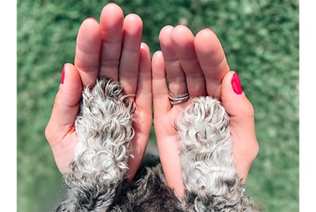 Bildergallerie Energieheilerin Susan Stralsund