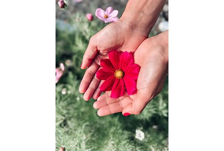 Bildergallerie Energieheilerin Susan Stralsund