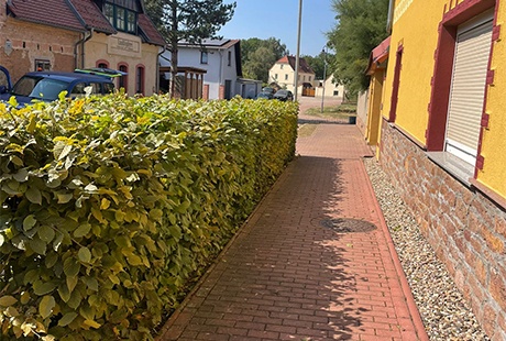 Eigentümer Bilder Gartenhelfer Petersberg Petersberg
