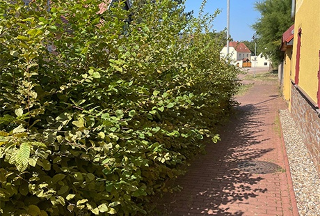 Eigentümer Bilder Gartenhelfer Petersberg Petersberg
