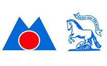 Logo Metallbau Peter Preißer Nemsdorf-Göhrendorf