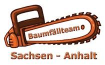 Logo Baumfällteam Sachsen Anhalt Gerbstedt OT Friedeburg