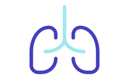 FirmenlogoPneumologische Praxis Facharzt Innere Medizin / Pneumologie / Allergielabor Voigt Steffen Osnabrück