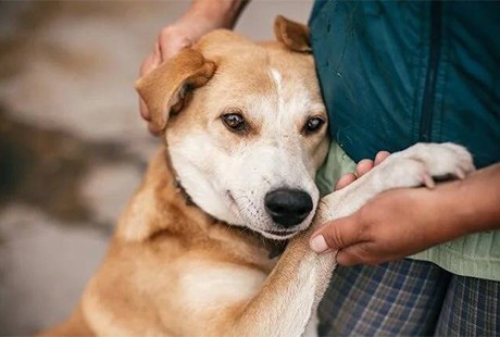 Eigentümer Bilder Amallah Wuff & Spiel Emden Stadt