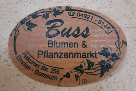 Bildergallerie Blumen Buss Emden