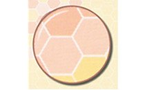 Logo Gropengießer Julia Dr. Fachärztin für Dermatologie Emden Stadt