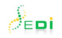 Logo EDI Entwicklungs- und Dienstleistungsgesellschaft Ihlow mbh Ihlow