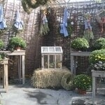 Eigentümer Bilder Pflanzenhof Nordshausen Kassel
