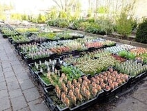 Eigentümer Bilder Pflanzenhof Nordshausen Kassel