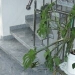 Eigentümer Bilder Frankfurth H. & Söhne GmbH Grabmale und Natursteine Baunatal