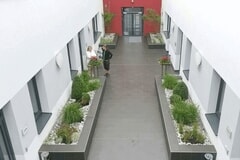 Bildergallerie Könnecke Begrünungen Garten- u. Landschaftsbau Kunstpflanzen Niestetal