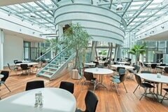 Bildergallerie Könnecke Begrünungen Garten- u. Landschaftsbau Kunstpflanzen Niestetal