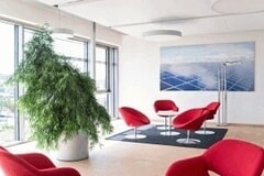 Eigentümer Bilder Könnecke Begrünungen Garten- u. Landschaftsbau Kunstpflanzen Niestetal