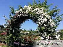 Eigentümer Bilder Zundel Karl GbR Baumschule Vellmar