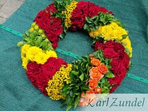 Eigentümer Bilder Zundel Baumschule Rosenkulturen Vellmar