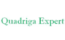 Logo Quadriga Expert KFZ-Sachverständigen GmbH KFZ-Ingenieure Weingarten