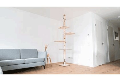 Bildergallerie Brongers Jimi Cado.design Hergensweiler