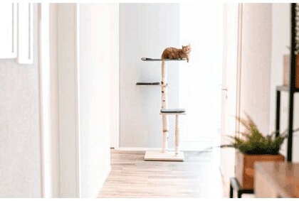 Bildergallerie Brongers Jimi Cado.design Hergensweiler