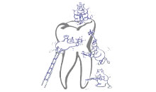 Logo Meißner Astrid Dr. Zahnärzte Freiburg