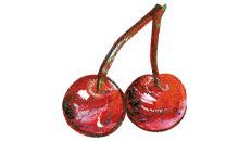 Logo Kirschencafe Inh. Oliver Schmidt Endingen am Kaiserstuhl