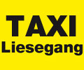 Logo Bernd Liesegang TAXI Ludwigsfelde