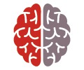 Logo Neuropraxis Paderborn Prof. Dr. med. Maria Schäfers Paderborn