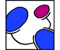 Logo Zentrum für Neurologie, Psychiatrie Psychotherapie Asperg Asperg