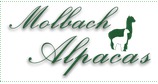Kundenlogo von Molbach-Alpacas Alpacaverkauf & Beratung,  Alpacaprodukte
