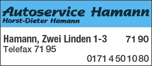 Kundenbild groß 1 Autoservice Hamann Horst-Dieter Hamann