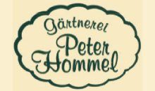 Kundenlogo von Gärtnerei Peter Hommel Gartenbau