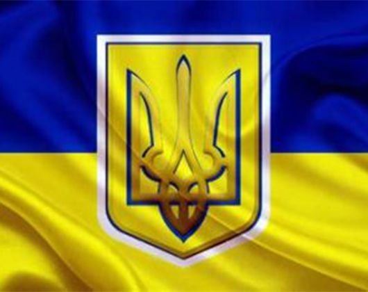 Kundenbild groß 1 Ukraine-Hilfe-Dithmarschen e.V.