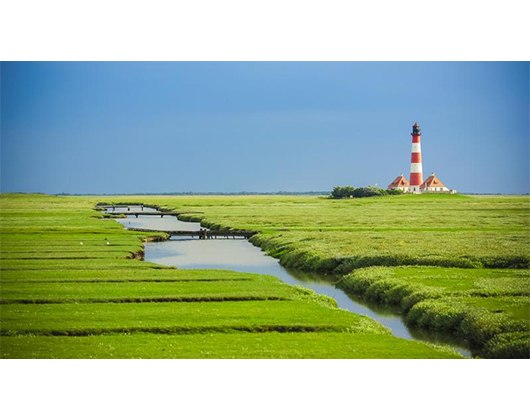 Kundenbild groß 3 Praxis am Meer - Institut für RESILIENZ -THERAPIE