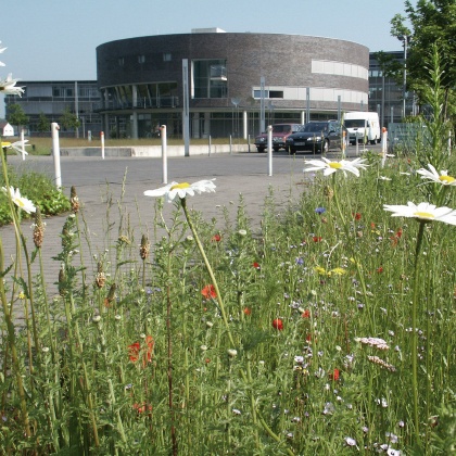 Kundenfoto 1 Kreis Gütersloh