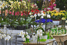 Kundenbild klein 2 Eickhoff Blumen
