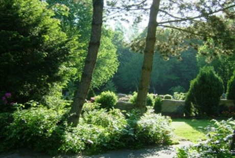 Kundenbild groß 1 Friedhof der Ev.-Luth. Kirchengemeinde