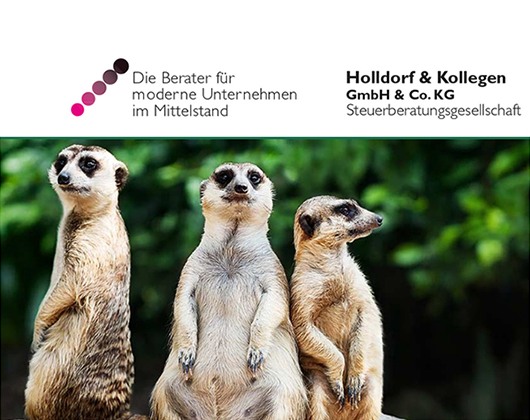 Kundenbild groß 1 Holldorf & Kollegen GmbH & Co. KG Steuerberatung