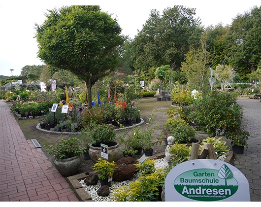 Kundenfoto 12 Jörn Andresen Gartencenter u. Pflanzenhandel KG Baumschule