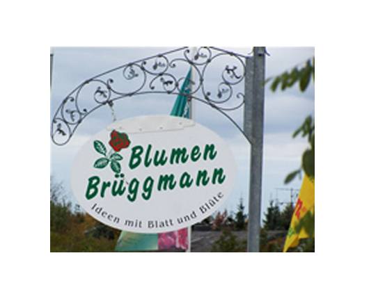 Kundenbild groß 1 Blumen Brüggmann GbR